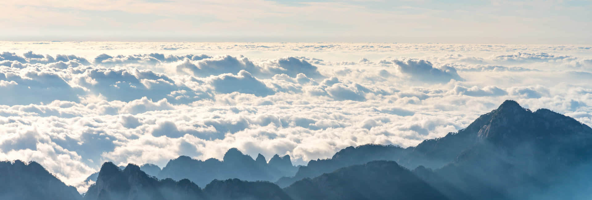 九州·体育（中国）官方网站-JIUZHOU SPORTS简介